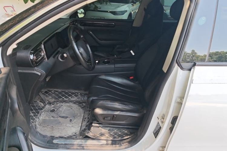 Used Leapmotor C11 2021 Luxury Edition Left Front Seat