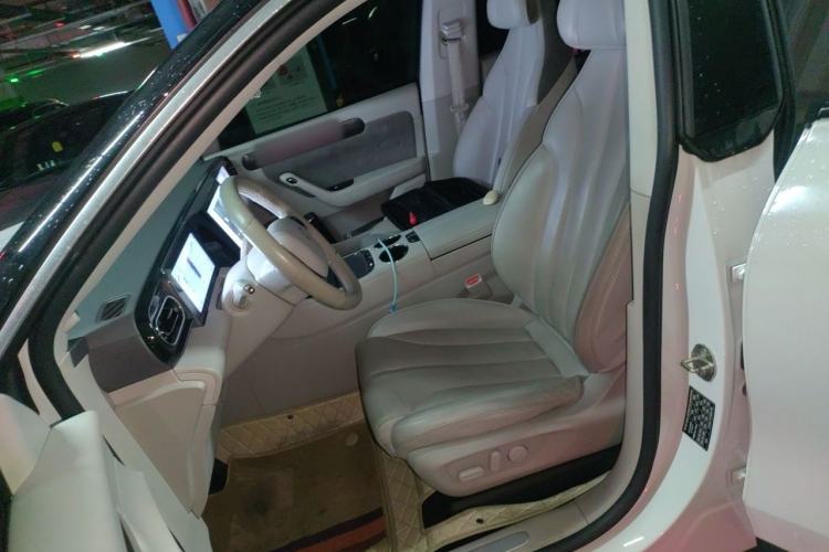 Used Leapmotor C11 2021 Performance Edition Left Front Seat