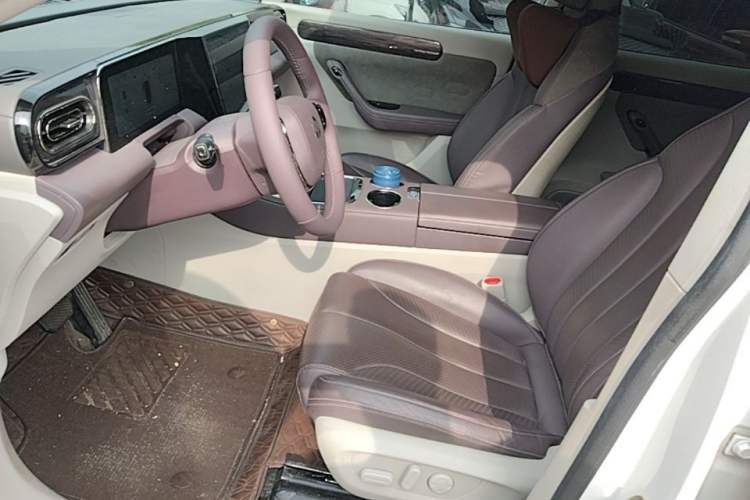 Used Leapmotor C11 2021 Luxury Edition Left Front Seat