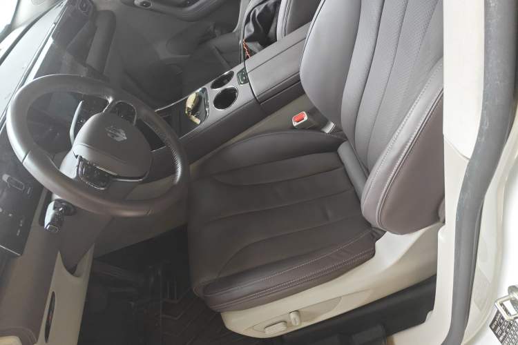 Used Leapmotor C11 2021 Revised Version Luxury Edition Left Front Seat