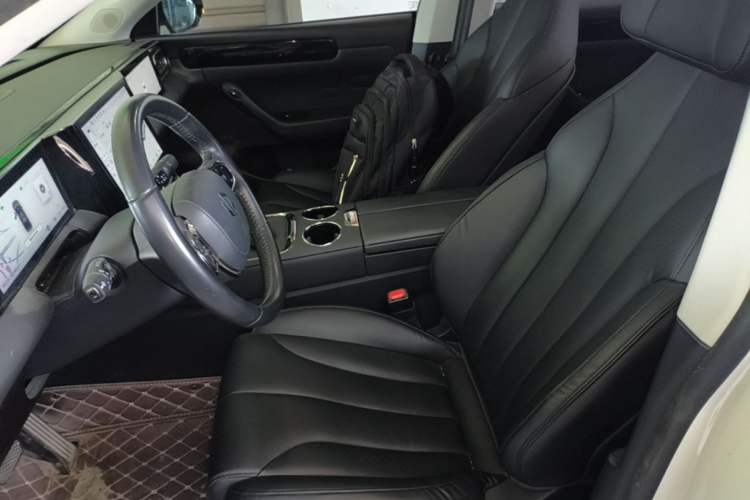 Used Leapmotor C11 2021 Luxury Edition Left Front Seat