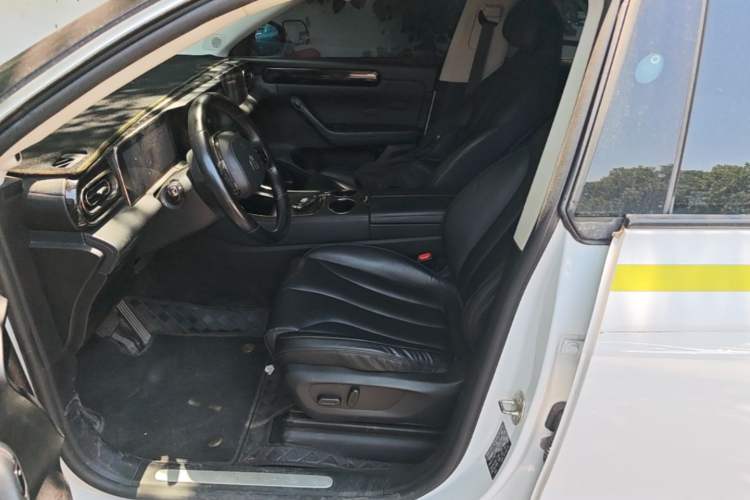Used Leapmotor C11 2021 Luxury Edition Left Front Seat