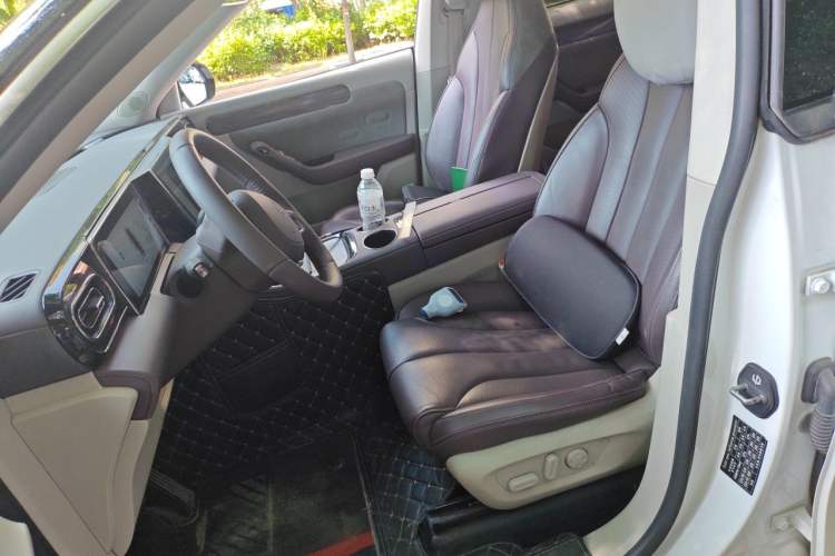 Used Leapmotor C11 2021 Revised Version Luxury Edition Left Front Seat