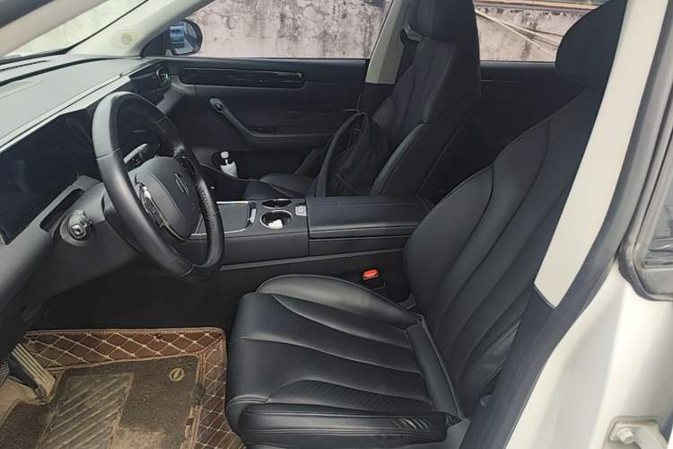 Used Leapmotor C11 2021 Luxury Edition Left Front Seat