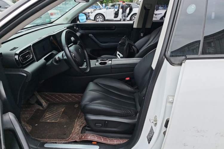 Used Leapmotor C11 2021 Luxury Edition Left Front Seat