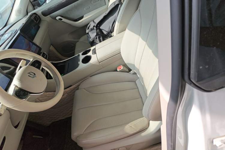 Used Leapmotor C11 2021 Revised Version Luxury Edition Left Front Seat