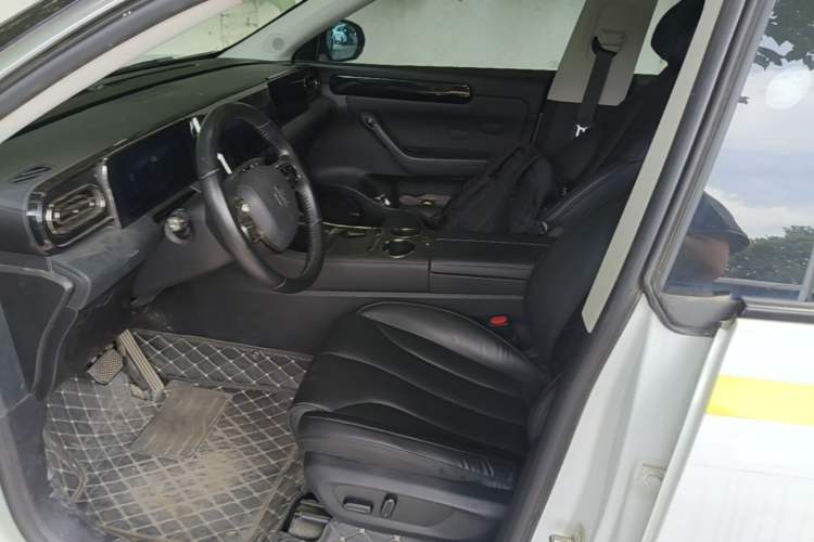 Used Leapmotor C11 2021 Luxury Edition Left Front Seat