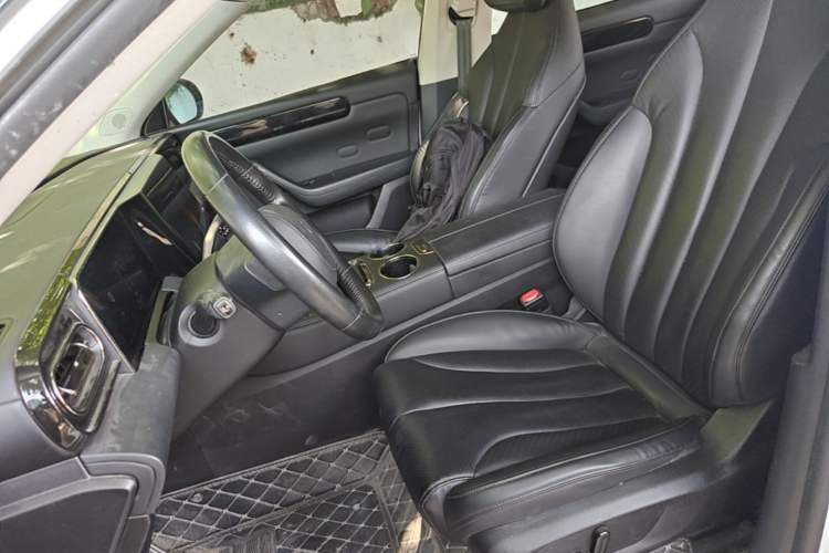 Used Leapmotor C11 2021 Luxury Edition Left Front Seat