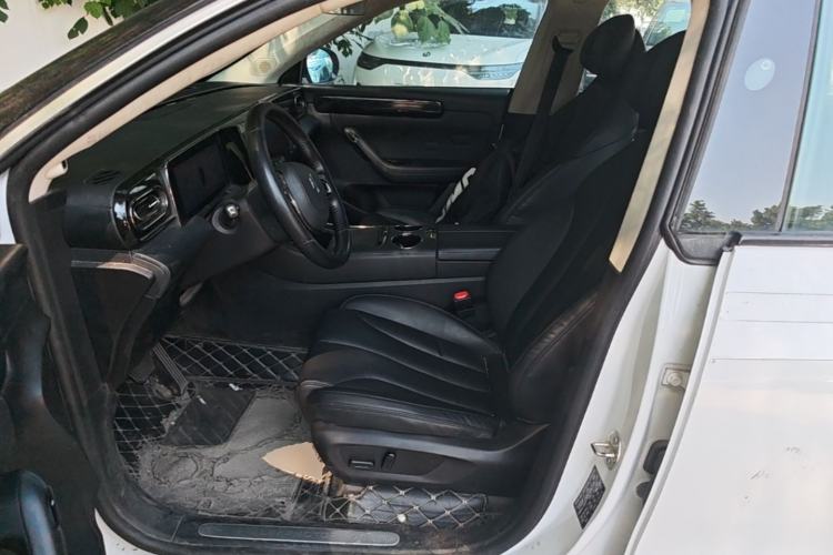 Used Leapmotor C11 2021 Luxury Edition Left Front Seat