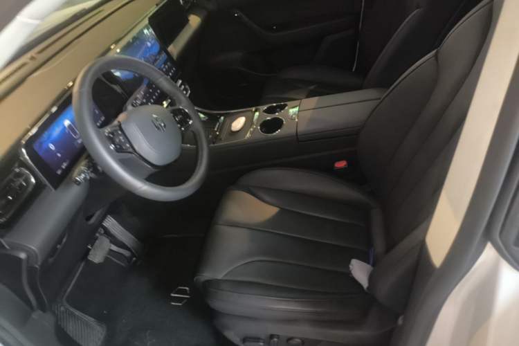 Used Leapmotor C11 2021 Revised Version Luxury Edition Left Front Seat