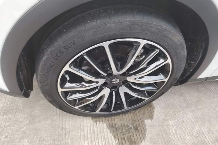 Used Leapmotor C11 2021 Performance Edition Left Front Wheel Hub
