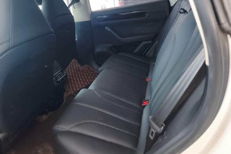 Used Leapmotor C11 2021 Luxury Edition Left Rear Seat