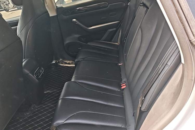 Used Leapmotor C11 2021 Luxury Edition Left Rear Seat