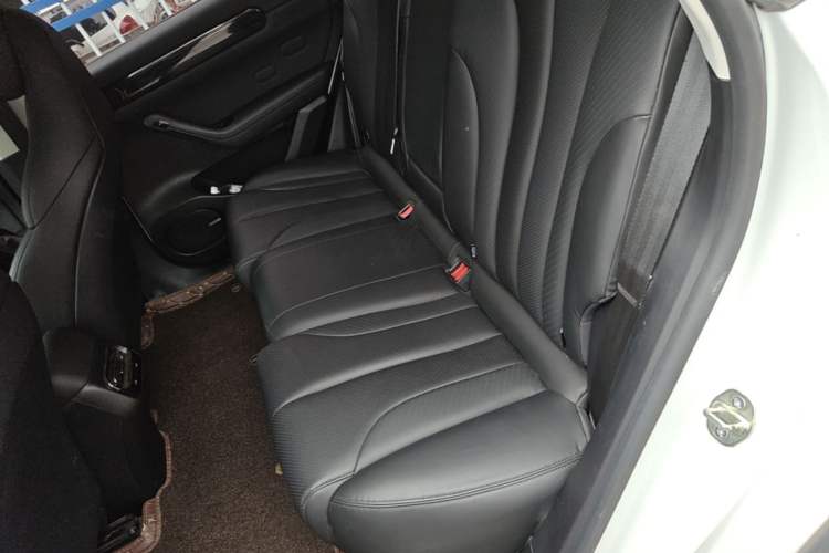 Used Leapmotor C11 2021 Luxury Edition Left Rear Seat