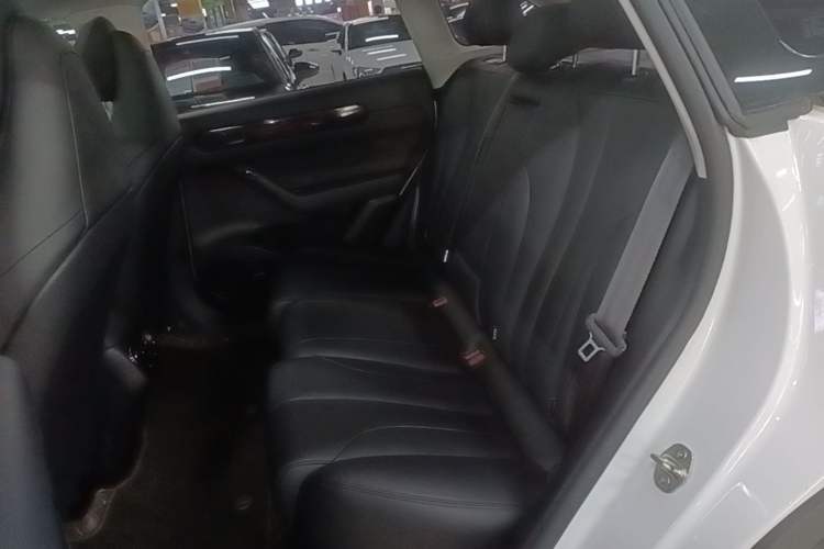 Used Leapmotor C11 2021 Luxury Edition Left Rear Seat