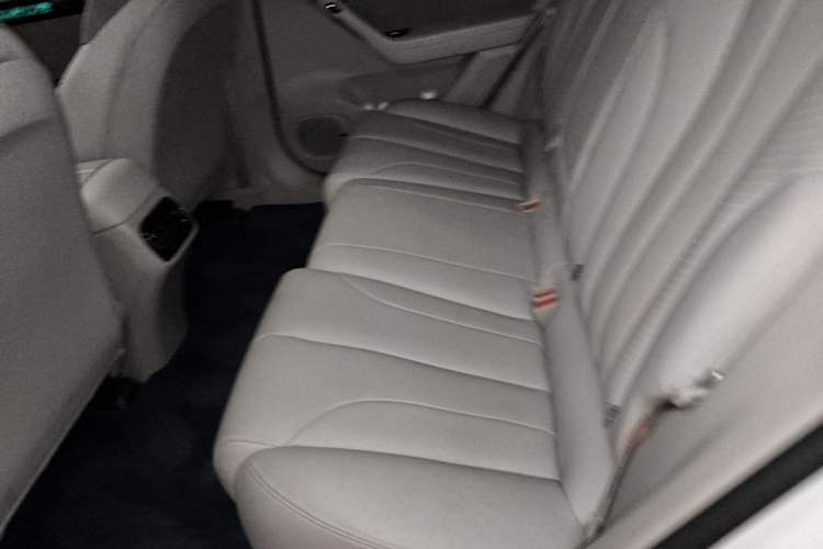 Used Leapmotor C11 2021 Revised Version Luxury Edition Left Rear Seat