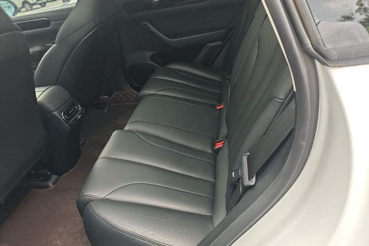 Used Leapmotor C11 2021 Revised Version Luxury Edition Left Rear Seat