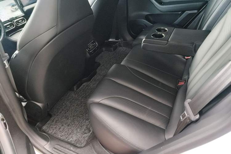 Used Leapmotor C11 2021 Deluxe Edition Left Rear Seat
