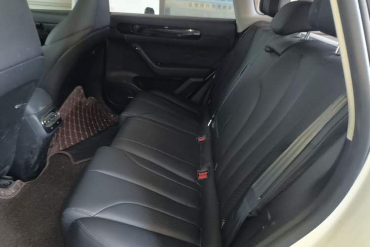 Used Leapmotor C11 2021 Luxury Edition Left Rear Seat