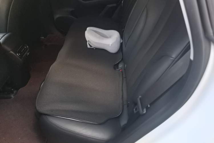 Used Leapmotor C11 2021 Revised Version Luxury Edition Left Rear Seat