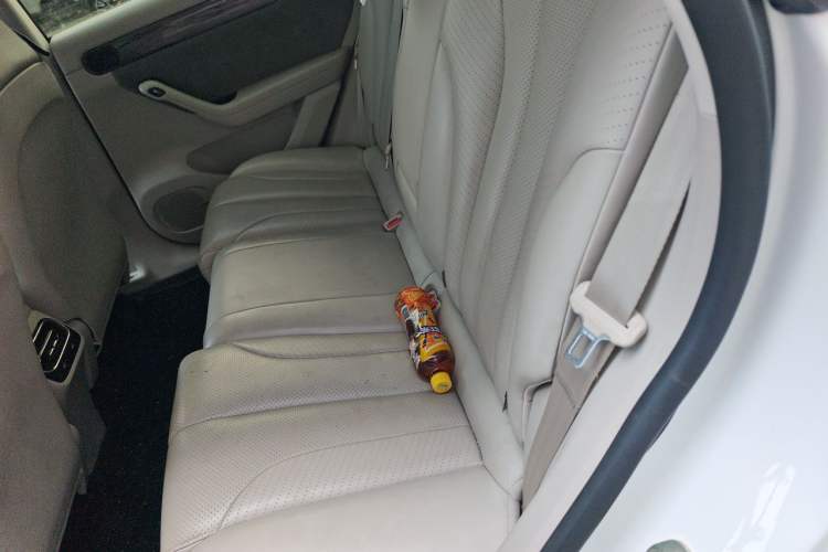 Used Leapmotor C11 2021 Luxury Edition Left Rear Seat