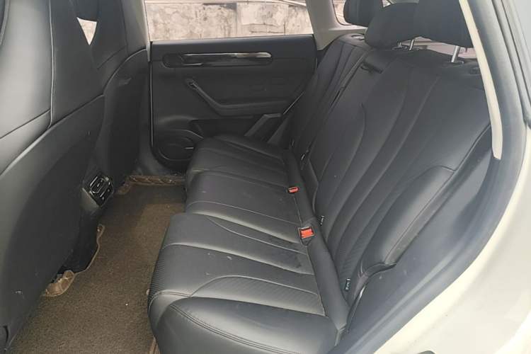 Used Leapmotor C11 2021 Luxury Edition Left Rear Seat