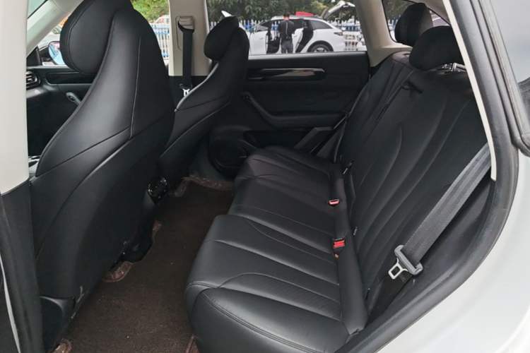 Used Leapmotor C11 2021 Luxury Edition Left Rear Seat
