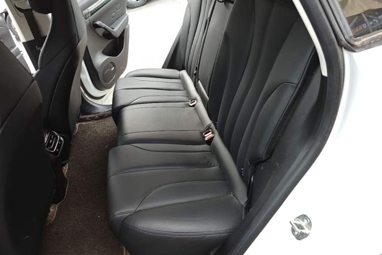 Used Leapmotor C11 2021 Luxury Edition Left Rear Seat