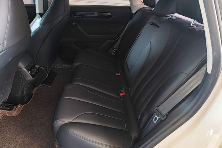 Used Leapmotor C11 2021 Luxury Edition Left Rear Seat