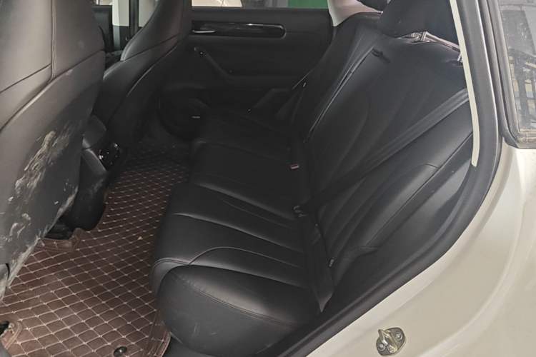 Used Leapmotor C11 2021 Luxury Edition Left Rear Seat