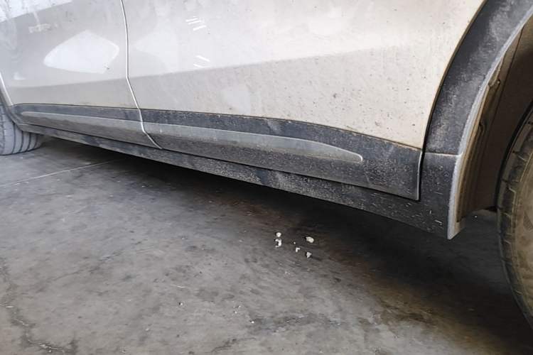 Used Leapmotor C11 2021 Luxury Edition Left Side Sill
