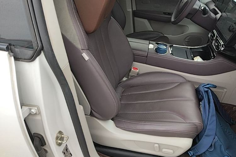 Used Leapmotor C11 2021 Luxury Edition Right Front Seat