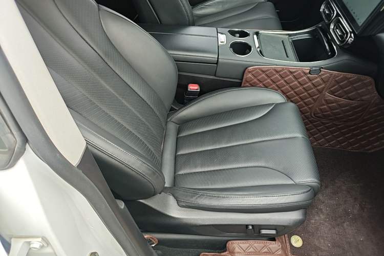 Used Leapmotor C11 2021 Revised Version Luxury Edition Right Front Seat