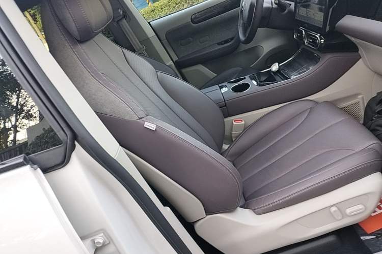 Used Leapmotor C11 2021 Executive Edition 510 Right Front Seat