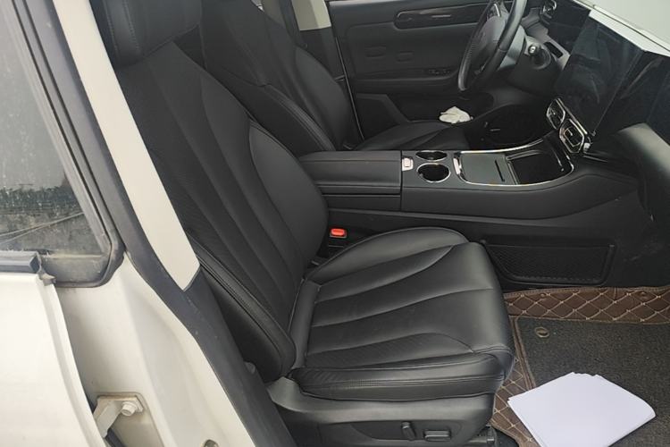 Used Leapmotor C11 2021 Luxury Edition Right Front Seat