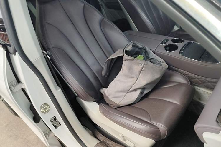 Used Leapmotor C11 2021 Luxury Edition Right Front Seat