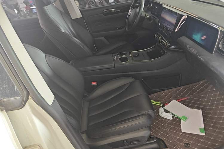 Used Leapmotor C11 2021 Luxury Edition Right Front Seat