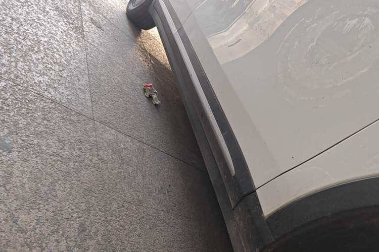 Used Leapmotor C11 2021 Luxury Edition Right Side Sill