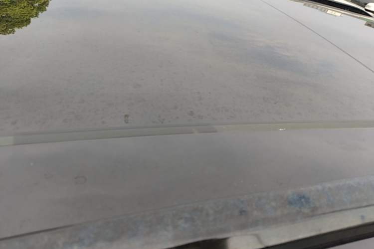 Used Leapmotor C11 2021 Luxury Edition Roof