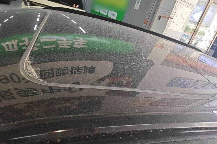 Used Leapmotor C11 2021 Luxury Edition Roof