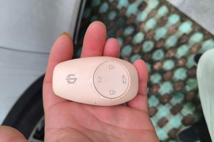 Used Leapmotor C11 2021 Revised Version Luxury Edition Vehicle Key