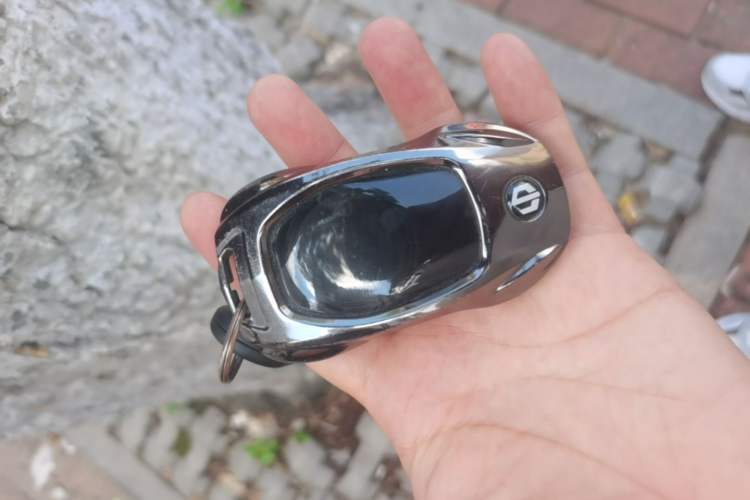 Used Leapmotor C11 2021 Revised Version Luxury Edition Vehicle Key