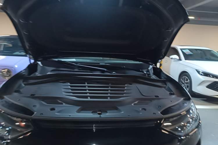 Used Leapmotor C11 2023 Pure Electric 500 Comfort Edition Engine Bay