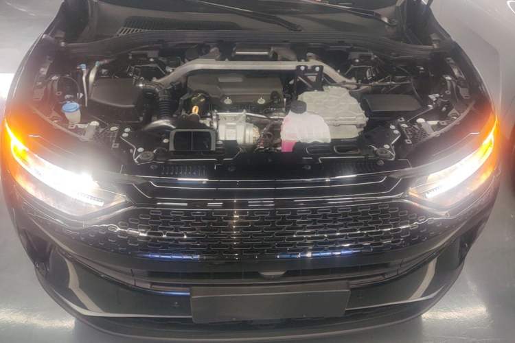 Used Leapmotor C11 2023 Range-Extended 285 Smart Enjoyment Edition Engine Bay
