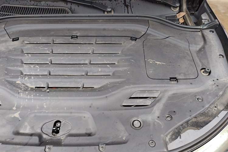 Used Leapmotor C11 2023 Pure Electric 500 Smart Edition Engine Bay Left