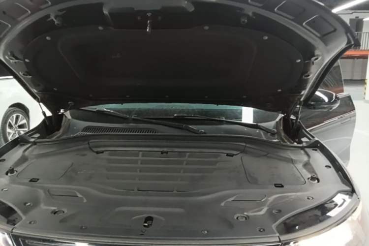 Used Leapmotor C11 2023 Pure Electric 500 Comfort Edition Engine Bay
