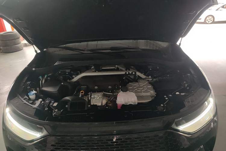 Used Leapmotor C11 2023 Range-Extended 285 Smart Enjoyment Edition Engine Bay