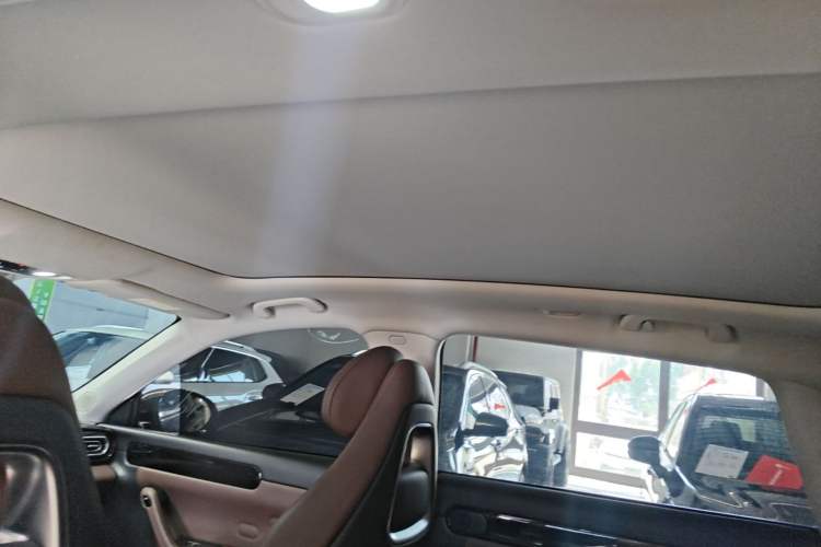 Used Leapmotor C11 2023 Pure Electric 500 Comfort Edition Headliner
