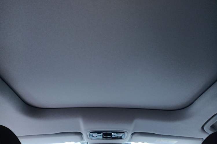 Used Leapmotor C11 2023 Pure Electric 500 Comfort Edition Headliner