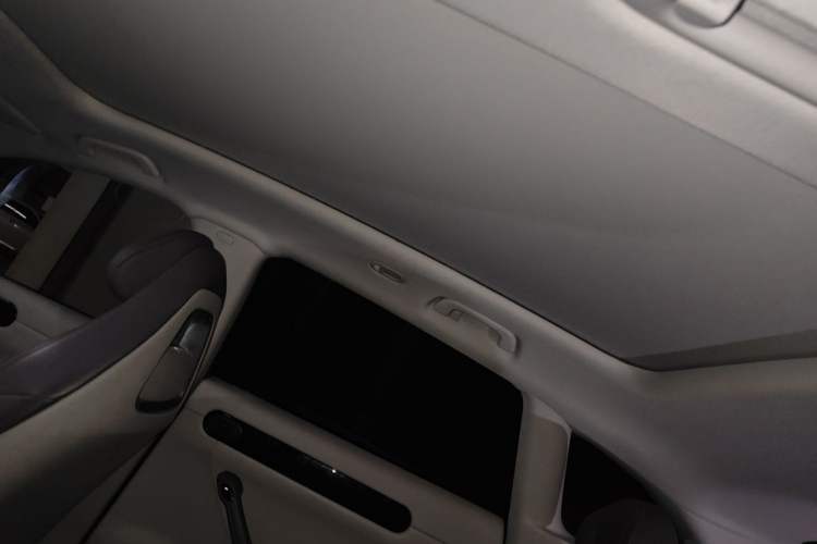 Used Leapmotor C11 2023 Pure Electric 500 Comfort Edition Headliner